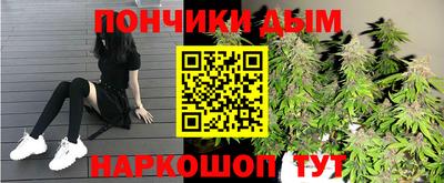 метадон Новозыбков