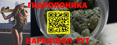 метадон Новозыбков