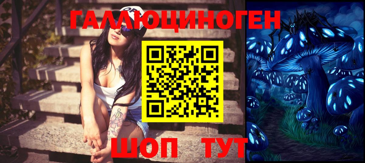купить   Галлюциногенные грибы GOLDEN TEACHER  Вход с VPN  Элиста  Галлюциногенные грибы ЛСД 