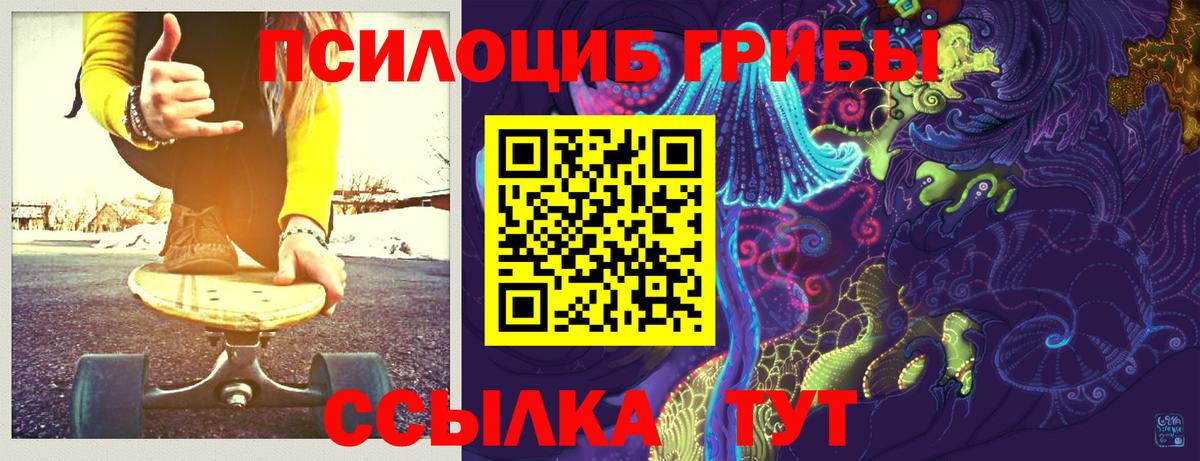 Галлюциногенные грибы Cubensis Элиста